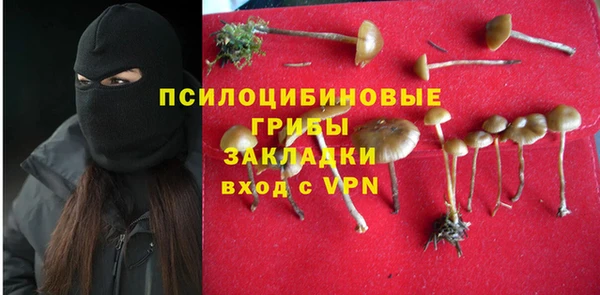 прущий лед Лагань