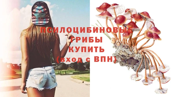 хмурый Куйбышев