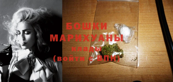 прущий лед Лагань