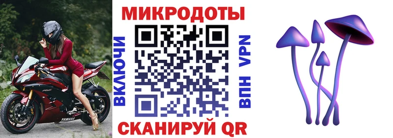 Купить  Собинка  Галлюциногенные грибы Psilocybine cubensis 