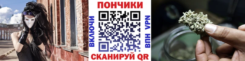 Купить где  Собинка  Бошки Шишки сатива 